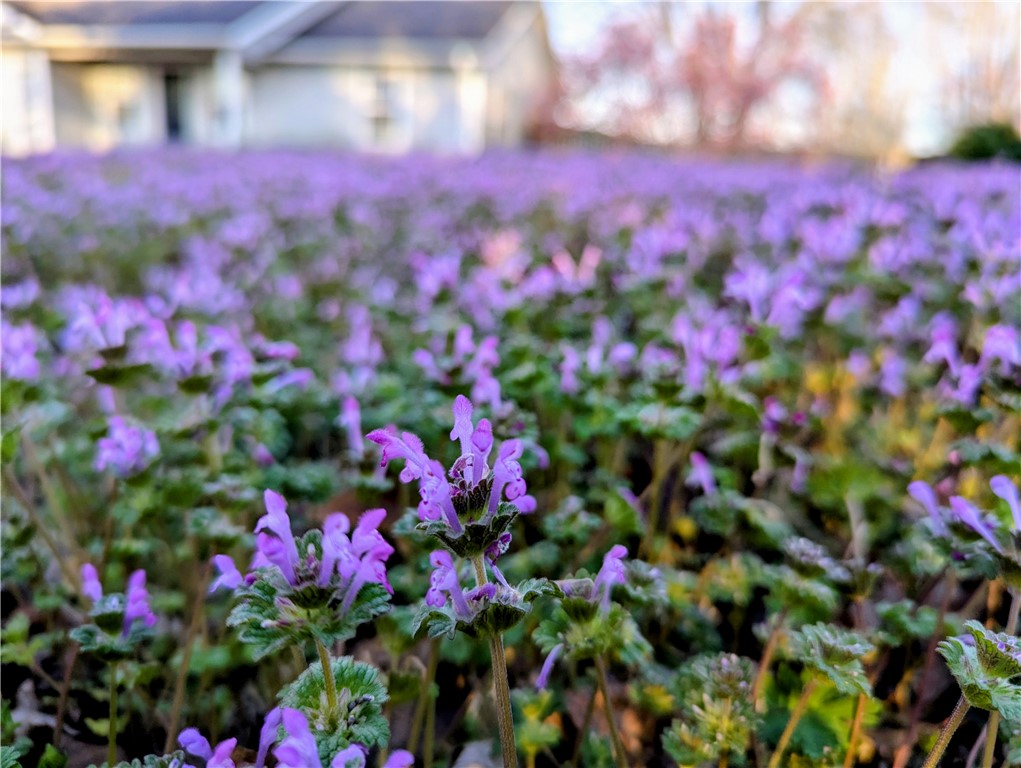 Hollybrooke Estates Ph II - Residential