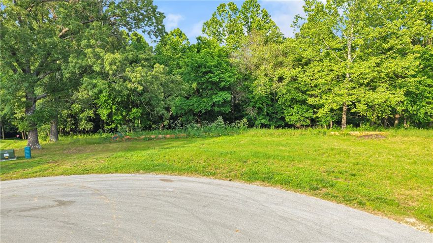 Seize the rare opportunity to own the last available lot in the highly coveted Blackberry Ridge community in West Fayetteville! Nestled on 1.87 private, wooded acres, this stunning homesite offers breathtaking views and is the perfect canvas to build your dream home. Enjoy an exclusive lifestyle with access to scenic walking trails, a sparkling community pool, and a charming pavilion—all just steps from your future doorstep. With its serene setting and prime location, this lot provides the ideal balance of privacy and convenience. Don’t miss out on this final opportunity to be part of one of Fayetteville’s most sought-after neighborhoods!