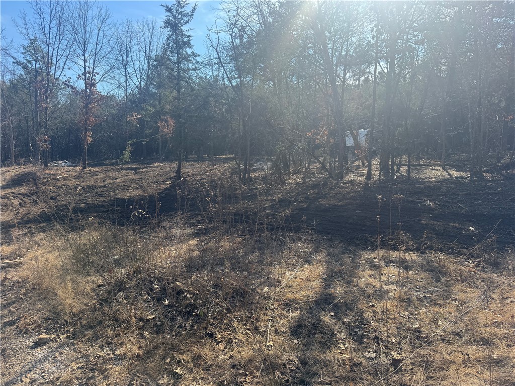 Osage River Estate #1 - Land