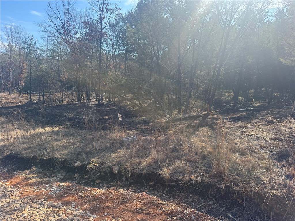 Osage River Estate #1 - Land