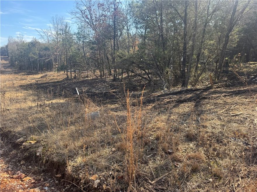 Nice 2.43+/- Acre lot with some cleared area close to the county road. Travel trailer on site that could be used while you build or it can be removed. Property has a wet weather spring and is close to the Kings, HWY 62, Eureka Springs and Berryville.