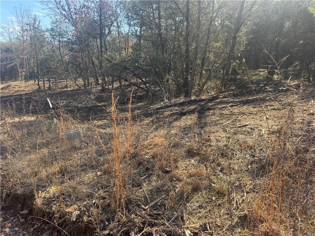 Osage River Estate #1 - Land