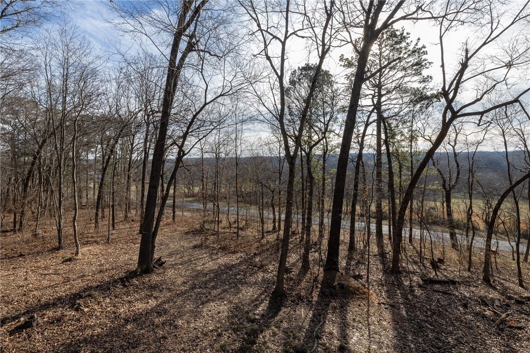 C O Steed Surv - Residential