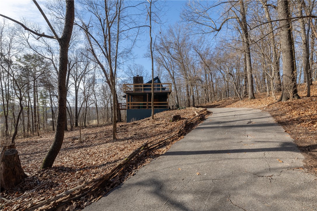 C O Steed Surv - Residential