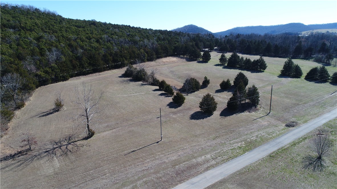 PLAN YOUR GETAWAY HOME OR YOUR FAMILY COUNTRY HOME RIGHT ON THE KINGS RIVER. OTHER LOTS ARE AVAILABLE. WELL IS DRILLED. FISHING AND CANOEING GALORE. LOCATED JUST MINUTES FROM HISTORIC EUREKA SPRINGS, GOLF & PRIVATE AIRPORT