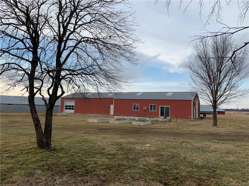 EGGS AND MORE EGGS - Farm