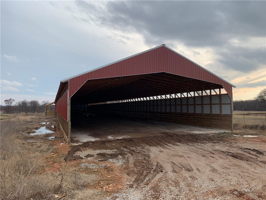 EGGS AND MORE EGGS - Farm