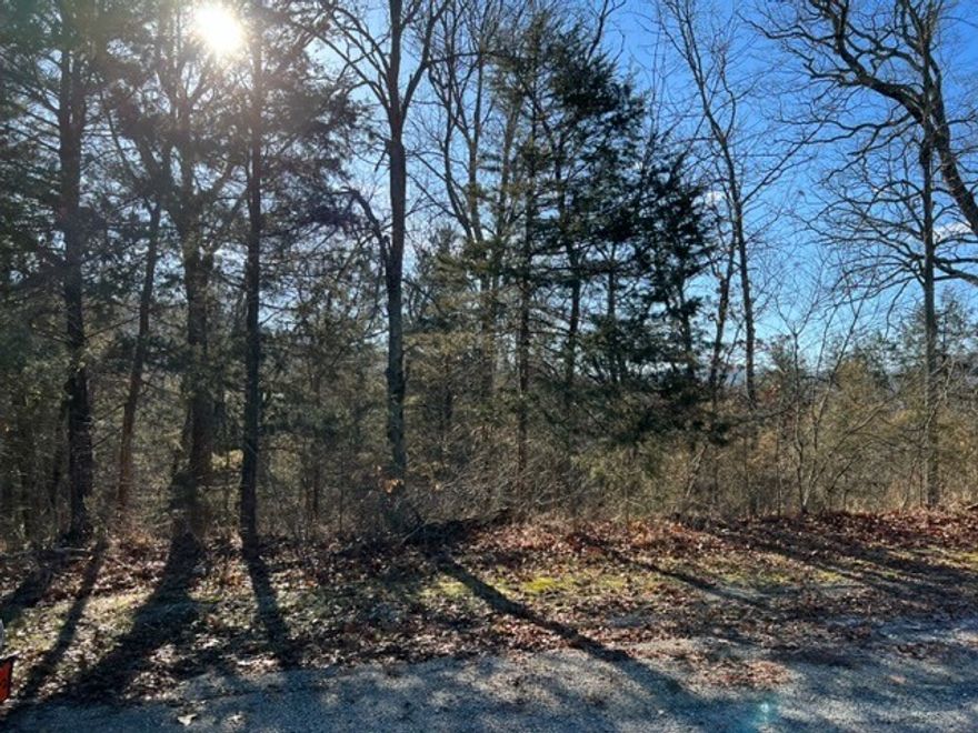 Nice sized lot in Unit 10 of Holiday Island.  This lot is 0.7 acres that backs up to the walking trail that runs along the lake corp line.  This lot has covenants and restrictions that allow a single family home or a duplex, which ever you would like to build.  Close to many amenities which include the marina, fishing dock, recreation center, swimming pool, park, tennis courts, 2 golf courses, country club and more.  Shopping, banking, and restaurants all nearby.  Call today for your private tour.