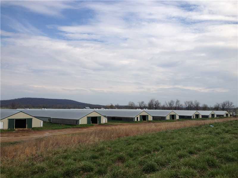 This is one of those workhorse farms that is built to bring in a good income. Call me for details. Simmons contract. Wood truss, drop ceilings, attic vents end to end, new composter and a tractor!