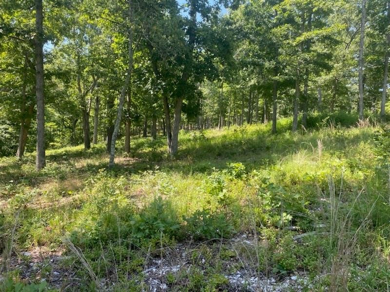 Posy Mountain Ranch Unit 11 Rurban - Land