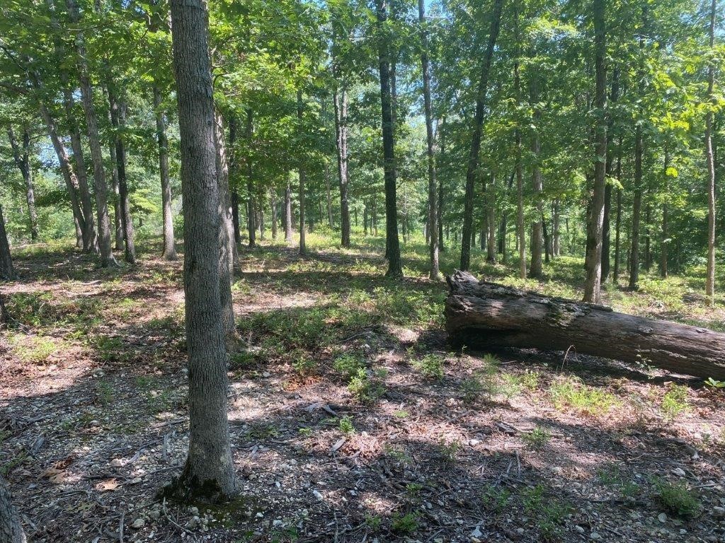 Posy Mountain Ranch Unit 11 Rurban - Land