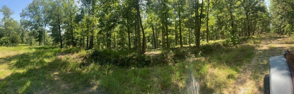 Posy Mountain Ranch Unit 11 Rurban - Land
