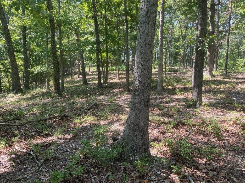 Posy Mountain Ranch Unit 11 Rurban - Land