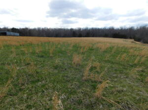 This 57 acre m/l is not far from the Buffalo River and has it all. On top of the Mountain with great potential. Features include approximately 10 ac of pasture, spring feed pond, old hay barn, seasonal creek. Electric and water utilities available. Numerous building sites. Abundance of wildlife including deer and turkey for hunting or viewing. Perfect for a hobby farm for horses or livestock.It is located in the Ozark Mountains and Buffalo River National Park region of Arkansas. Located in Compton community off of Plumlee Road. It is just 6.3 miles from the Compton Trailhead (Hemmed-In Hollow), 7.3 miles to Centerpoint Trailhead (Big Bluff), 13.7 miles from Lost Valley Trail and only 12.4 miles from the Ponca Canoeing Access of the Buffalo National River in beautiful Newton County Ar.
