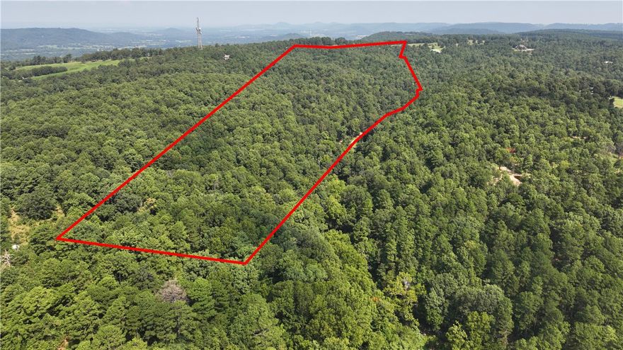 Beautiful country in the hills south of Berryville on Crystal Mountain. could be developed to have outstanding view. Land includes two parcel ID