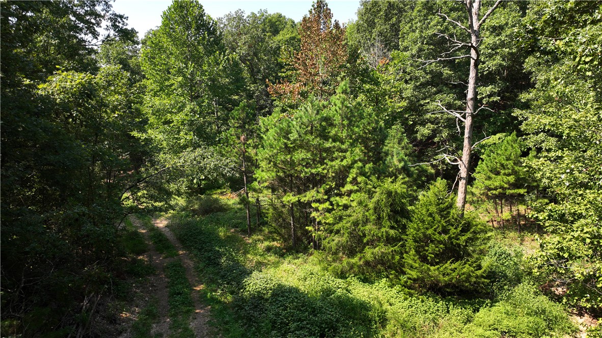 Crystal Mountain Heights - Land