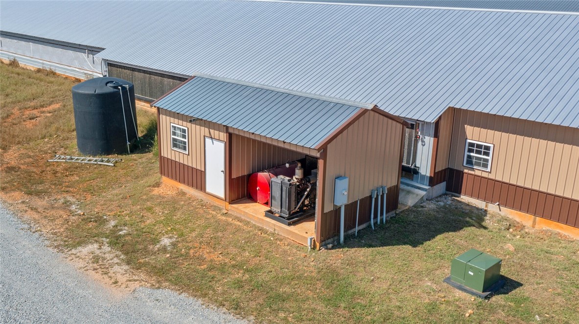 Eggs for Days - Farm