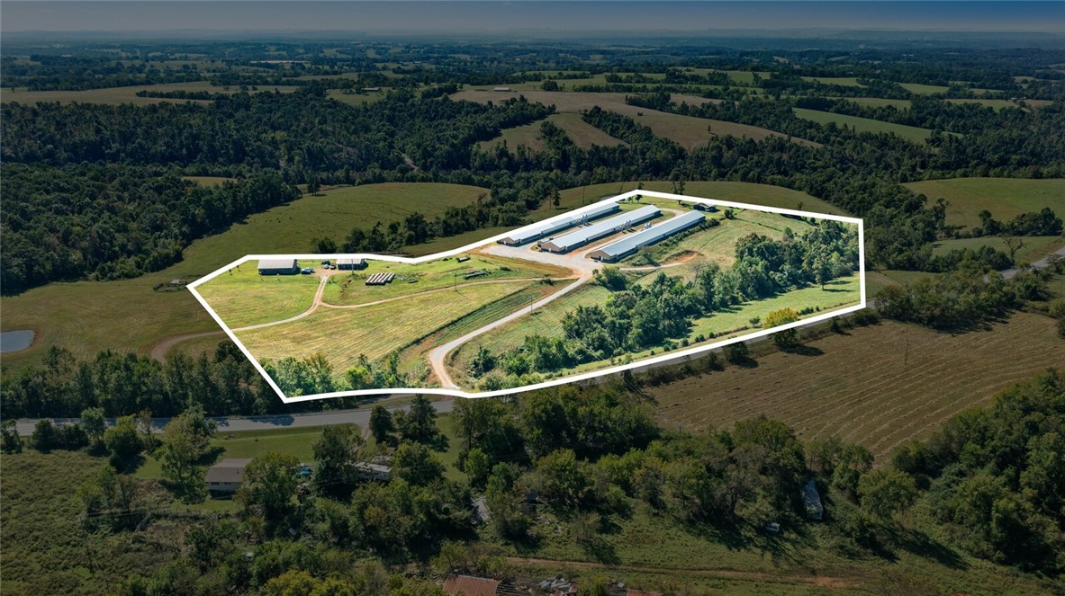 Eggs for Days - Farm