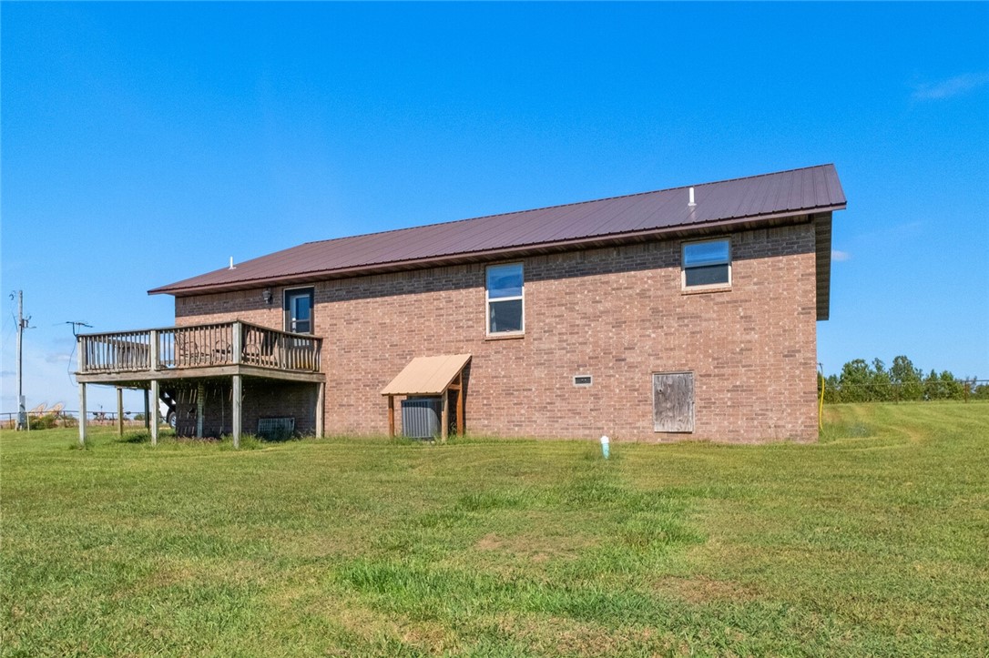 Eggs for Days - Farm