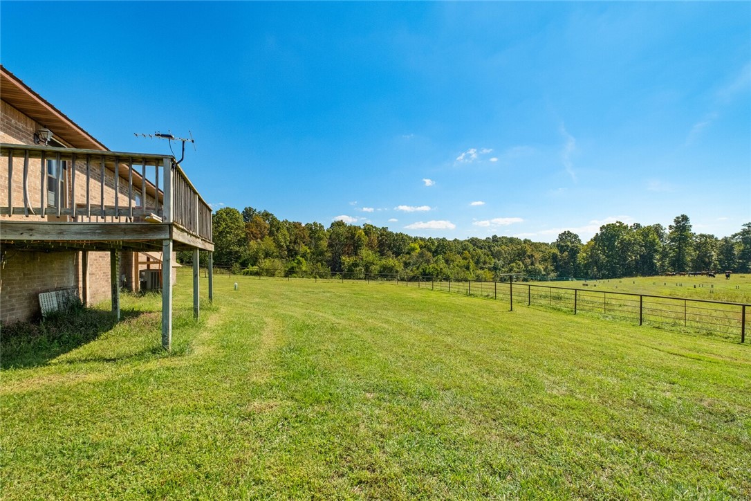 Eggs for Days - Farm