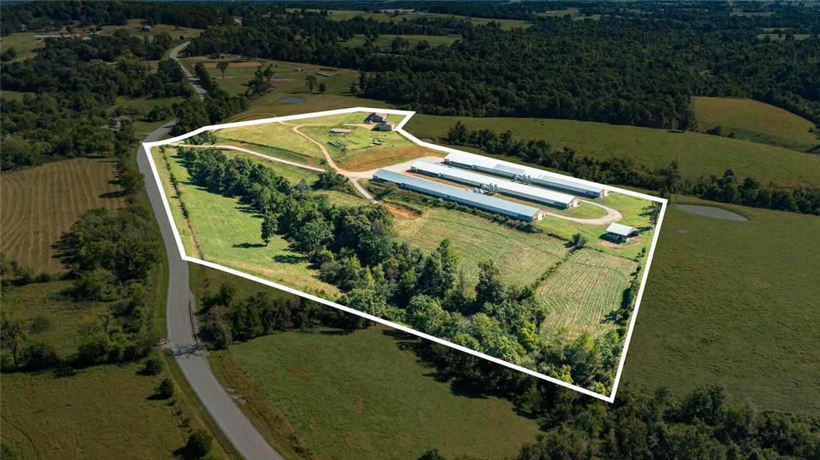 Eggs for Days - Farm