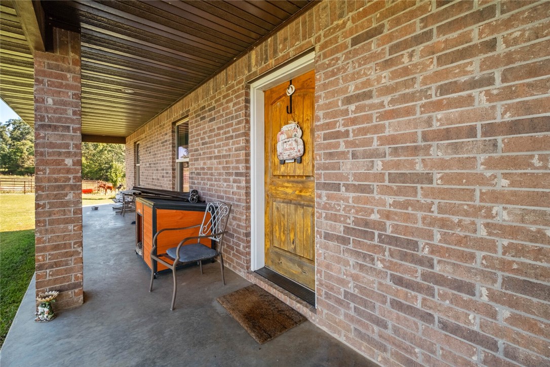 Eggs for Days - Farm