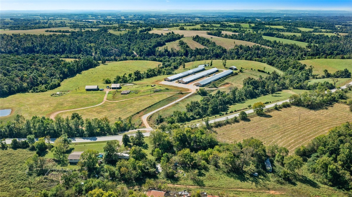 Eggs for Days - Farm