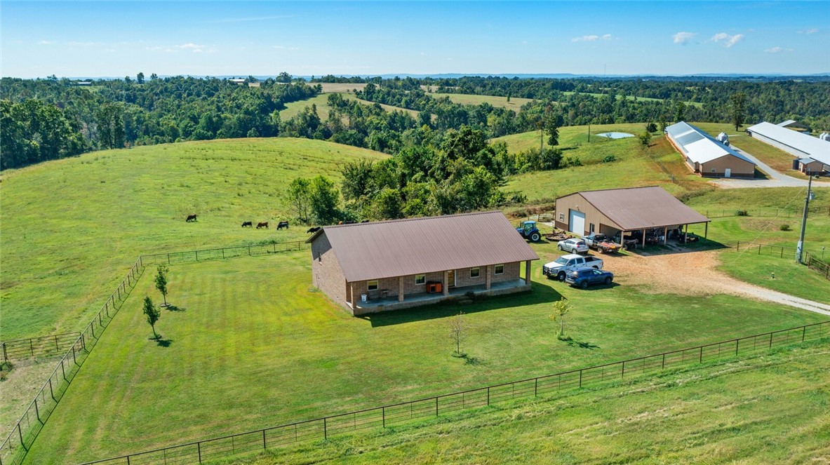 Eggs for Days - Farm