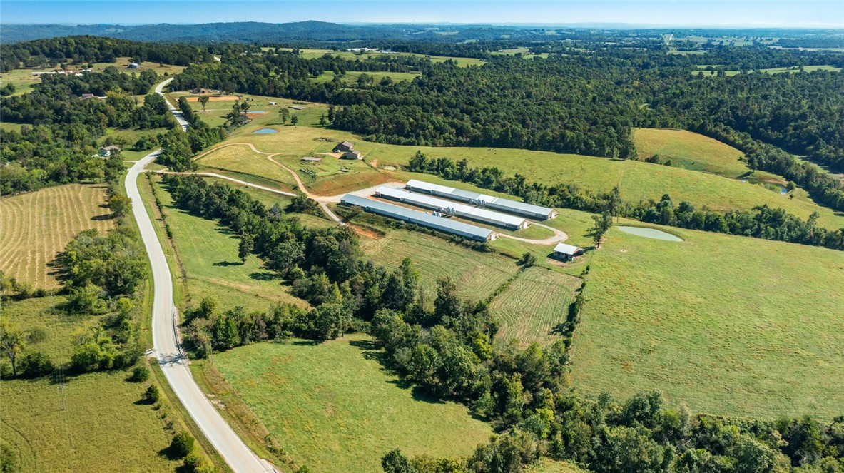 Eggs for Days - Farm