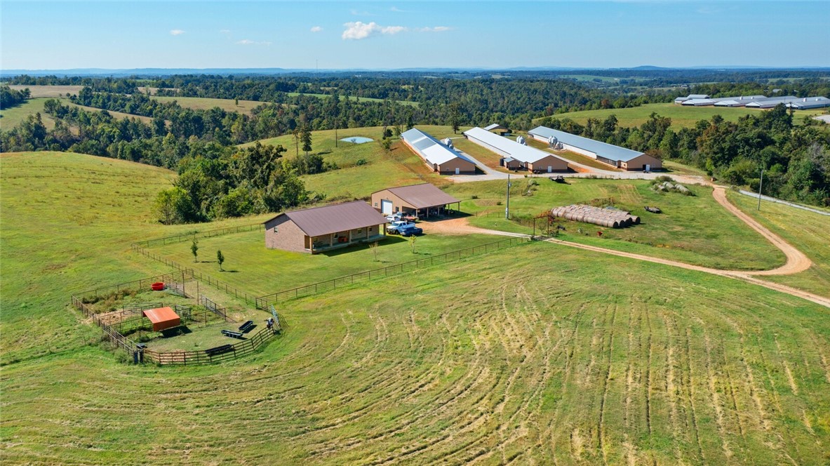 Eggs for Days - Farm