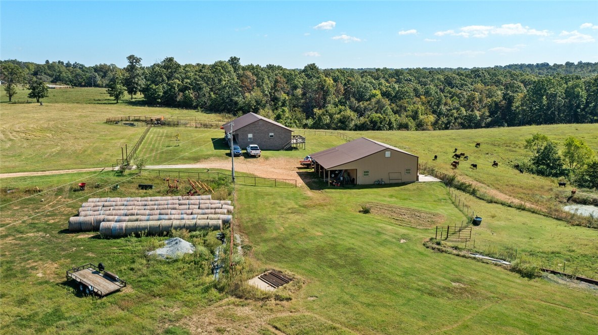 Eggs for Days - Farm