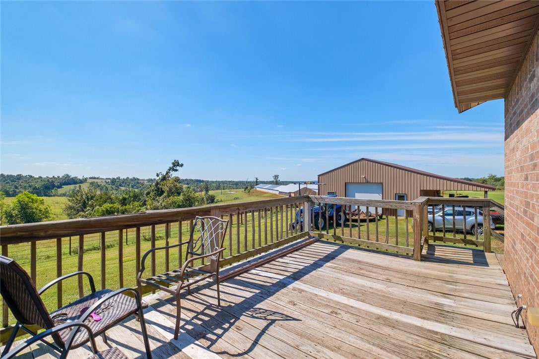 Eggs for Days - Farm