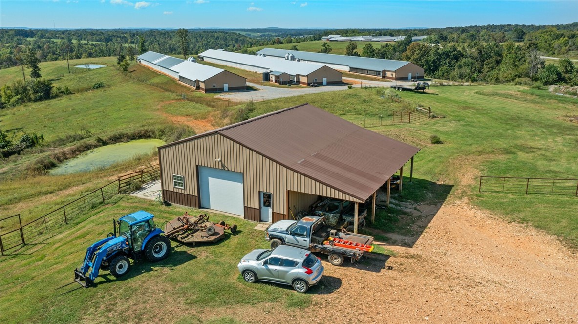 Eggs for Days - Farm