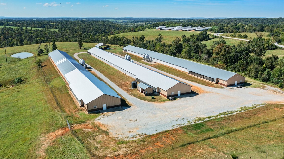 Eggs for Days - Farm