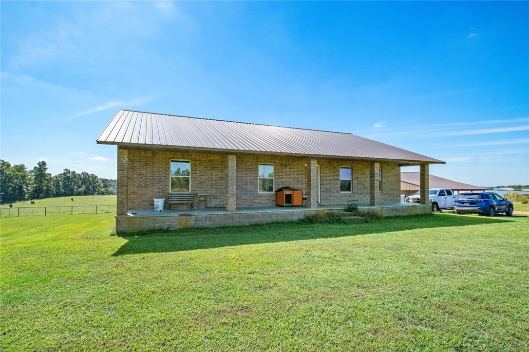 Eggs for Days - Farm