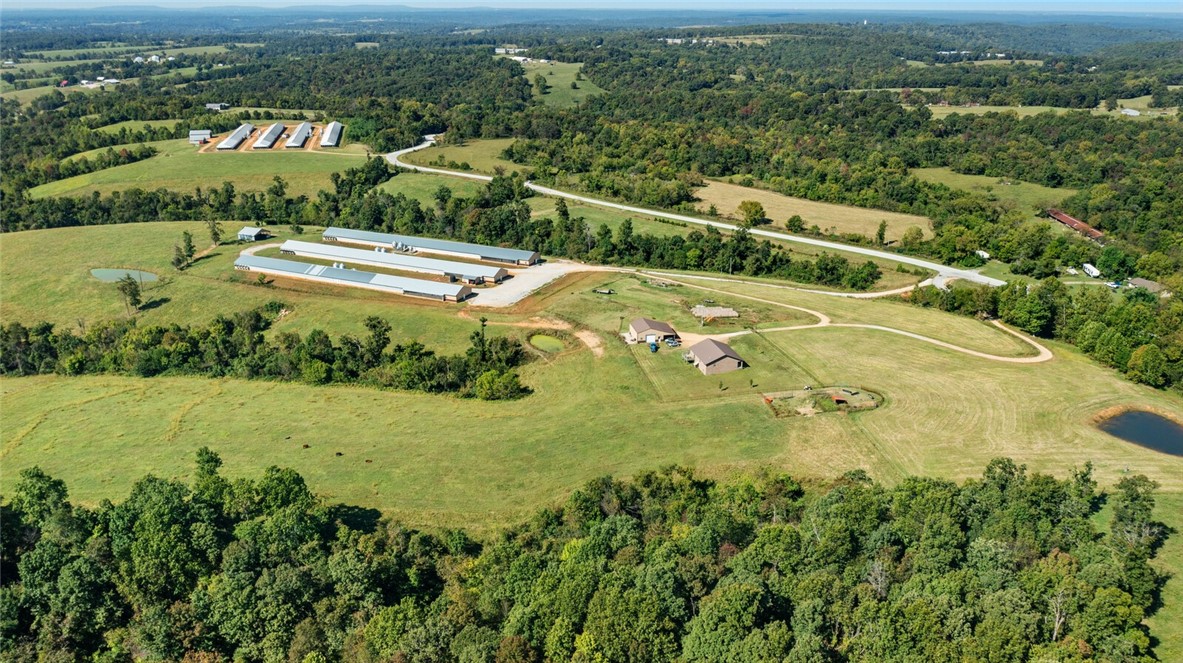 Eggs for Days - Farm