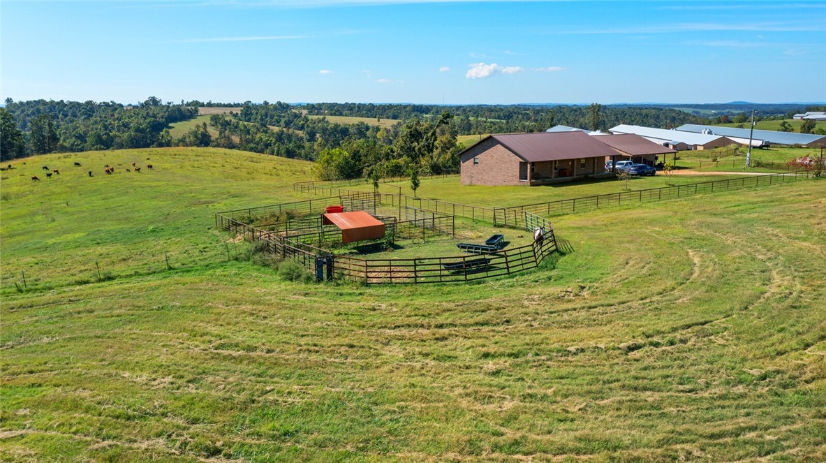 Eggs for Days - Farm