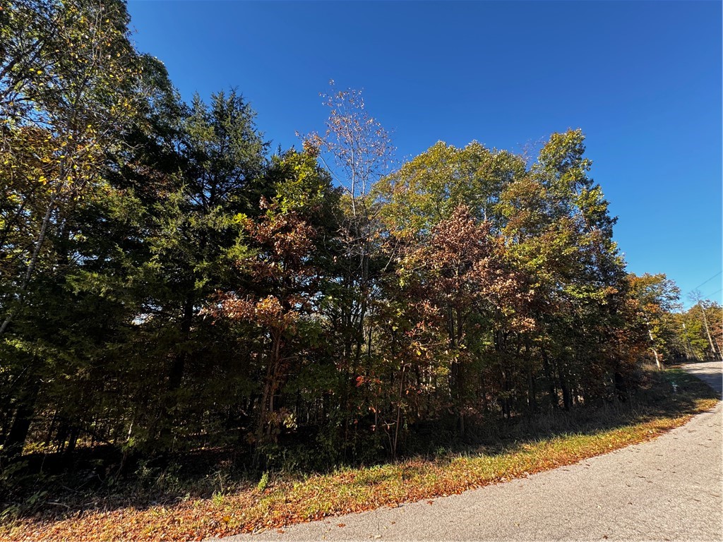 Nestled within the picturesque beauty of Bella Vista, lies an exceptional opportunity to own a piece of pristine land. This lot just north of Loch Lomond is a wonderful property awaiting your vision. Located just off of Stoneykirk Drive, this lot is a perfect blank canvas for your dream home or investment venture. It's peaceful location, natural beauty, and seclusion yet easy access make it a true unicorn of lots available in Bella Vista.