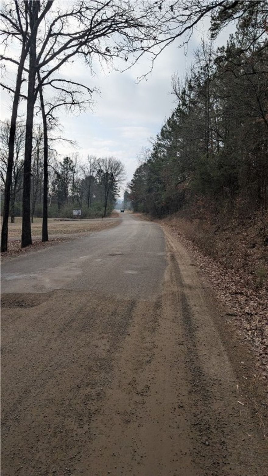 Have you been looking for a little land out in the country close to the national forest to build a house or mobile home on?  This 1.5 acre lot may be just what you are looking for. it is very secluded yet only 25 minutes from Russellville.