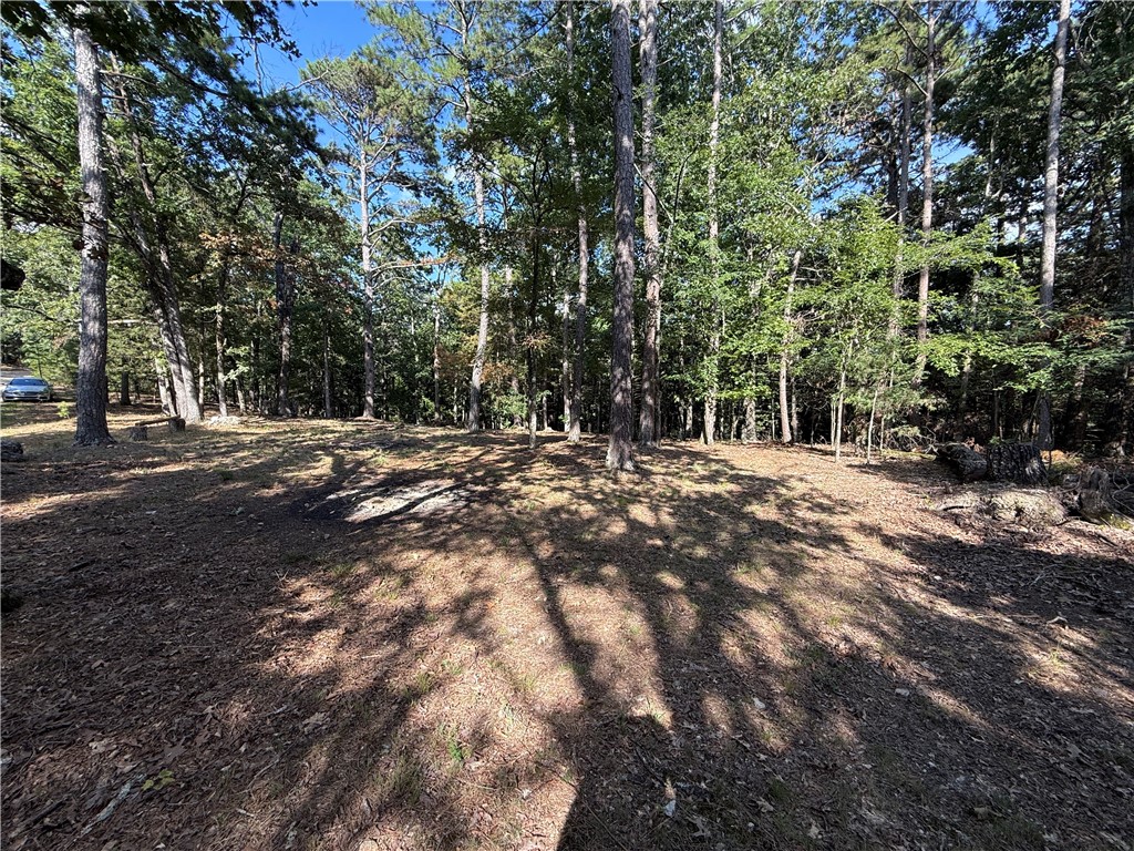 This 1.60-acre lot ālightly sloped with a clear spot ready to build on, tucked just outside city limits. Youāre incredibly close to all the charm of town, yet still surrounded by the peace and quiet of the Ozarks. Whether youāre dreaming of a cabin in the woods or a vacation getaway, this property gives you flexibility and space. Just steps away from hiking and biking trails like Happy Little Trail, plus those stunning forest views and clear starry skies at night. No building size restrictionsājust a great spot to make your vision happen.