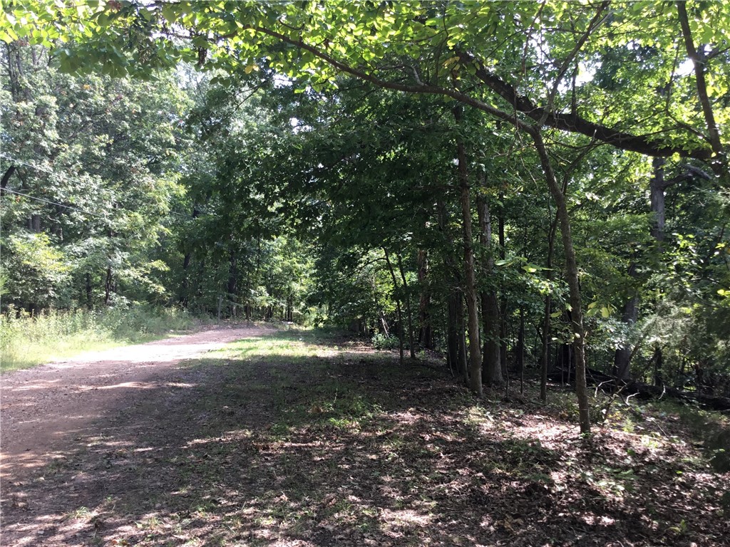 A really nice 1.12 acre property for an investment or come and build your country house in Posy Mountain Ranch/ Lost Bridge Village. Come visit the peace and quiet of these ozark woods. Lot 449 perc tested successfully for a 3 or 4 bedroom house. Electric is at the road. A water well will be needed, and mobile or tiny homes are not allowed. Beaver Lake access just a few minutes away! *Note* This lot is south of Garfield Arkansas off Posy Mountain Dr. Post office calls this Rogers Ar.