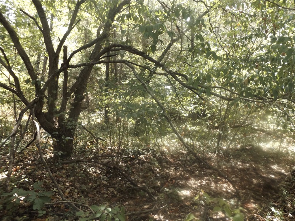 Wunderland Estates - Land