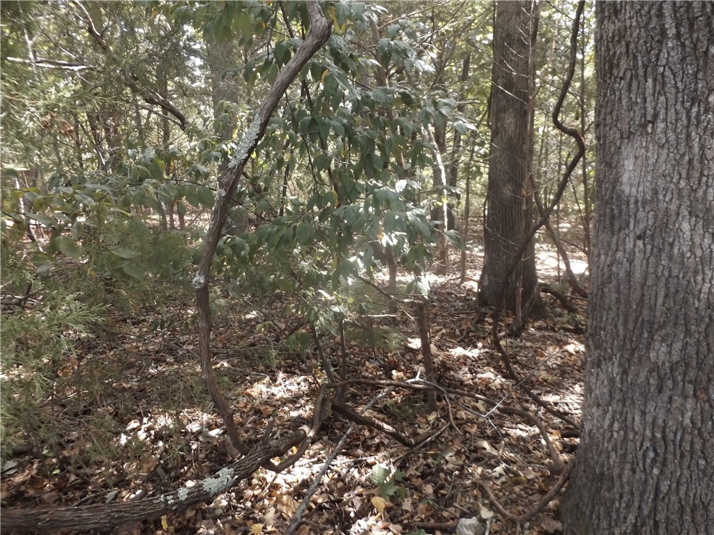 Wunderland Estates - Land