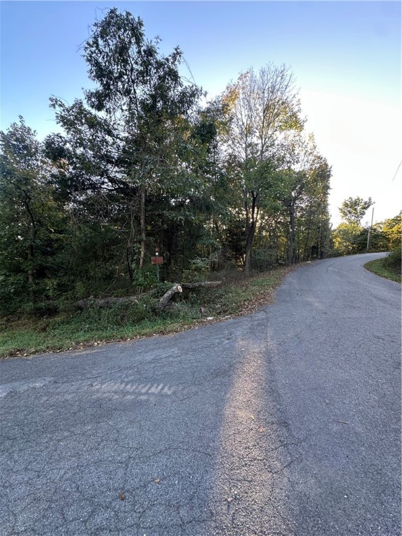 Nestled in a quiet wooded setting near Lake Loch Lomond and Lake Loch Lomond recreational center, this .31-acre, corner Bella Vista lot offers a prime opportunity to build amid the natural beauty of Northwest Arkansas! A recent soil evaluation confirms highly buildable conditions, with utilities nearby for convenience. Enjoy peaceful surroundings just minutes from the lake, trails, and golf. A private, well-located homesite ready for your custom retreat. Recent soil report available upon request.