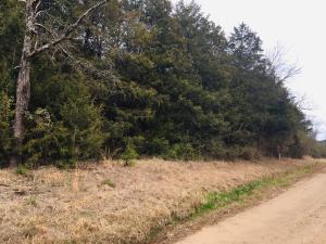 Beautiful large lot with great potential! Enjoy the seclusion and privacy of this neighborhood with nice houses in the area. You are only 2 miles from Piney Bay Recreation area. Owner financing offered!