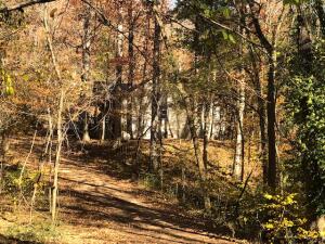 Well maintained spacious 3bed/2bath home with open floorplan on 5 peaceful acres in beautiful Jasper AR. Home is tucked away from the road, lots of hardwood trees, and even has a wet weather waterfall visible from back deck. Central air and heat, metal roof, and good well all in this must see home.