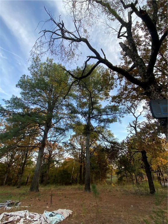 13133 Old Turner Road