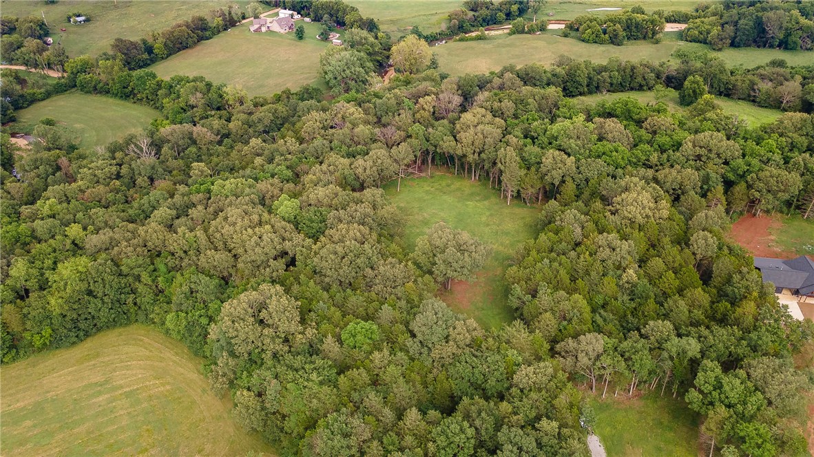 Bearing Fruit Farms - Land