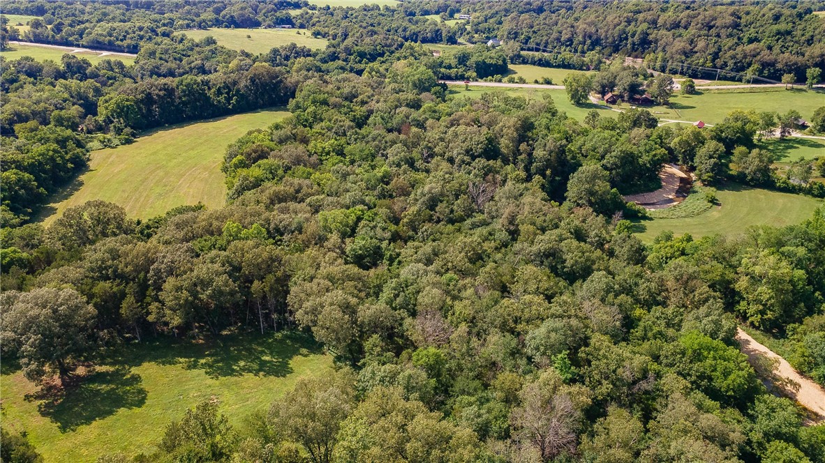 Bearing Fruit Farms - Land