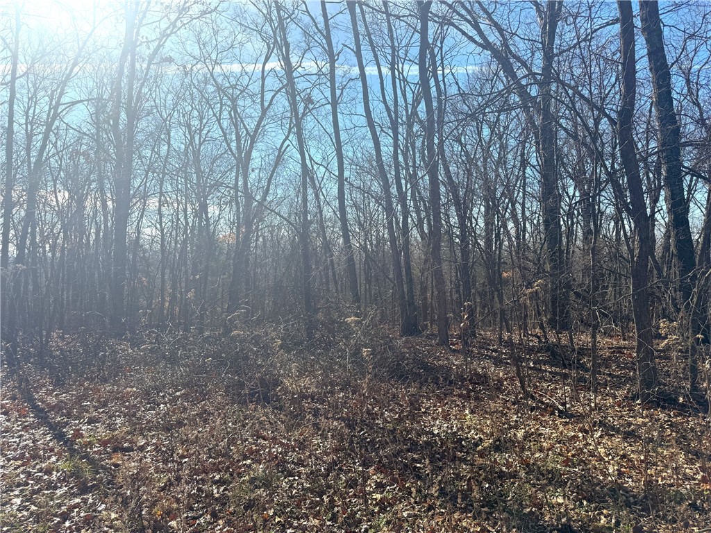 Posy Mountain Ranch Unit 7 Rurban - Land